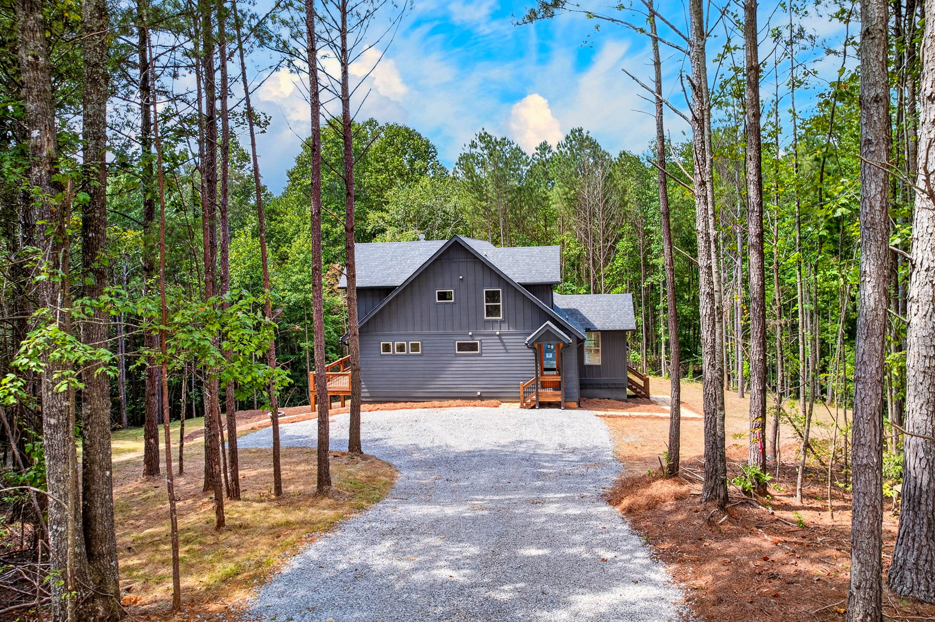 Gravel driveway approaching the home through pine trees at 824 Banks Rd, Ellijay, GA