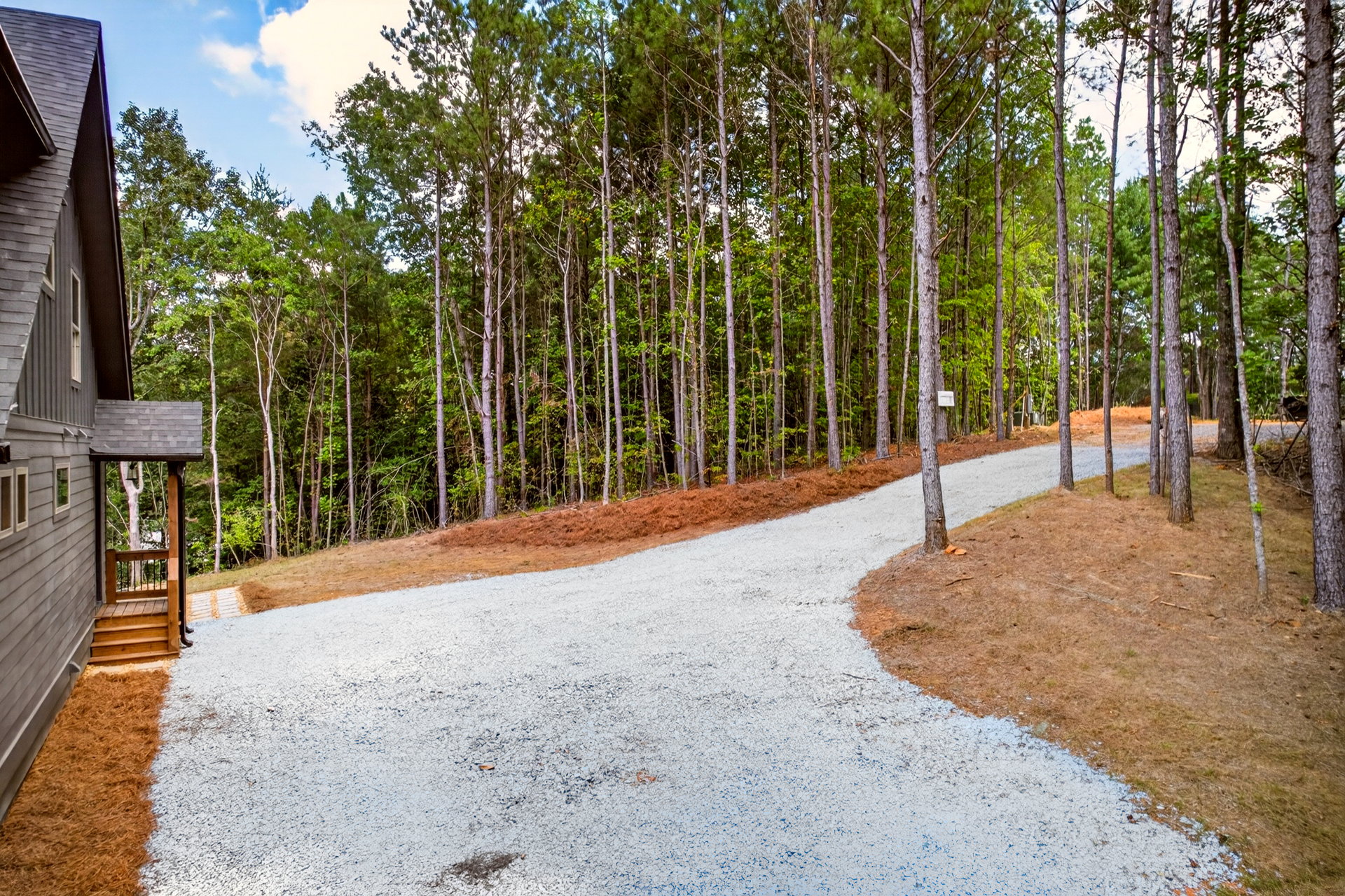 Winding gravel driveway leading into the woods at 824 Banks Rd, Ellijay, GA