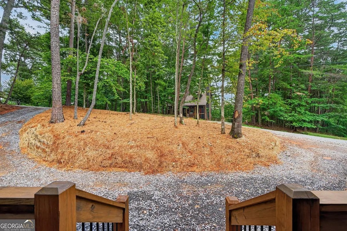 View from the porch toward the gravel drive and woods at 579 Julep Circle, Ellijay, GA